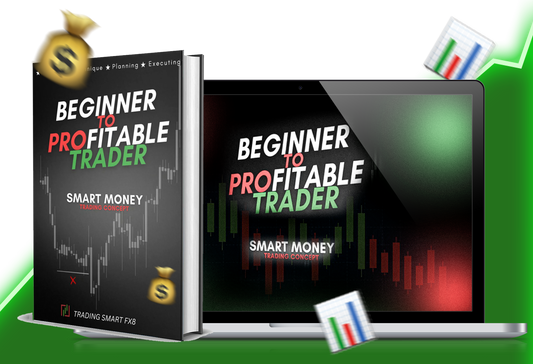 Beginner To Profitable Trader Guide